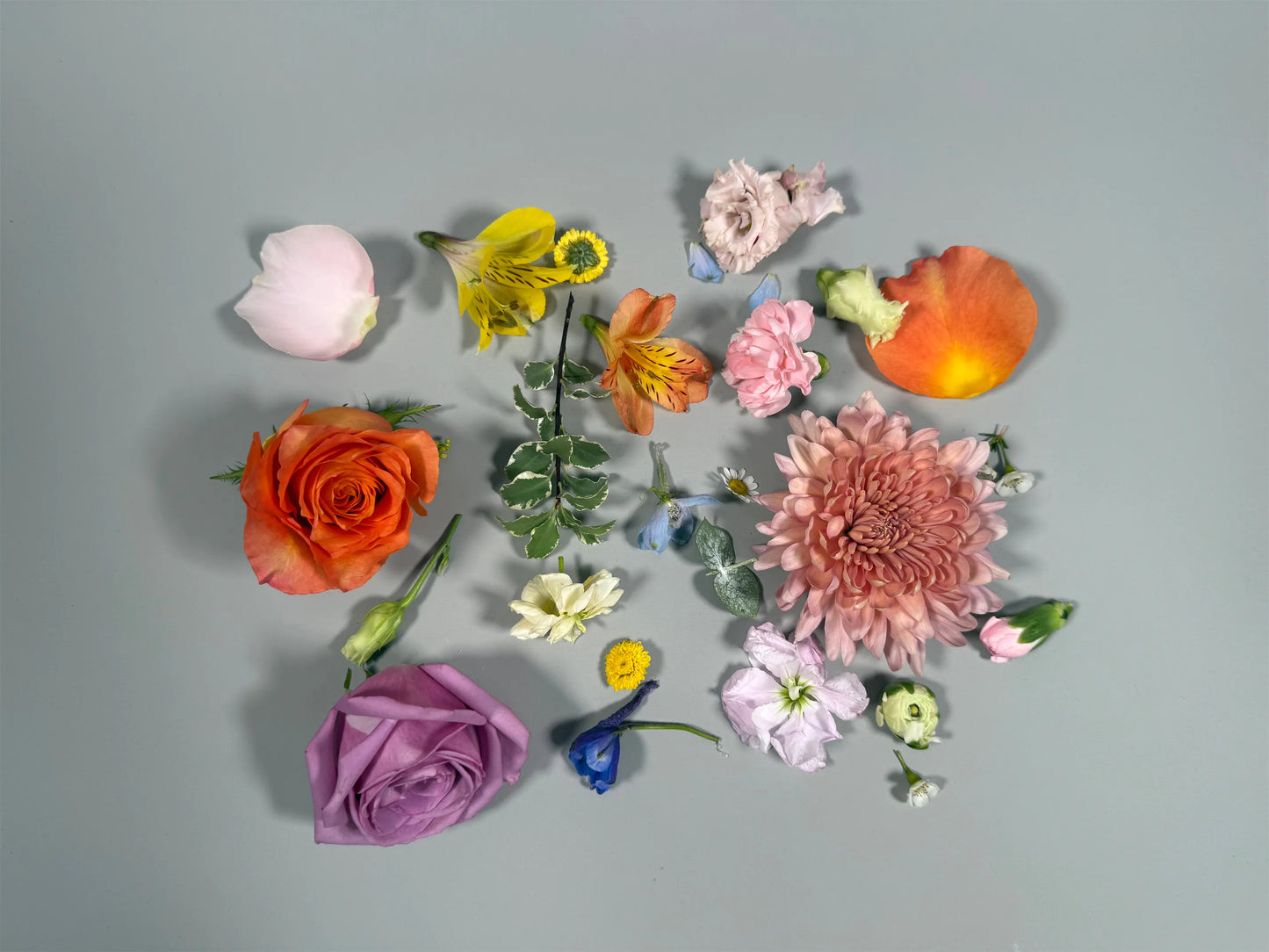 Julia's choice bouquet